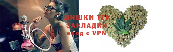 твердый Надым