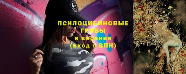 твердый Надым