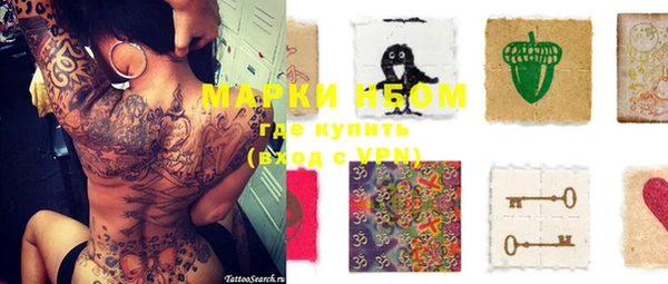 твердый Надым