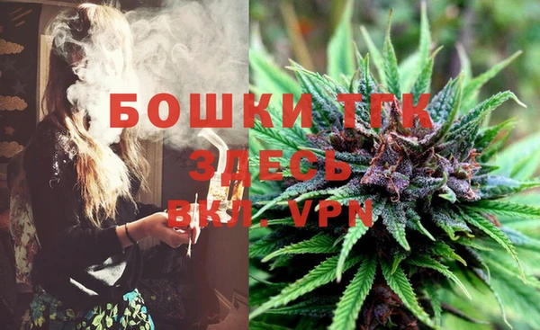 твердый Надым