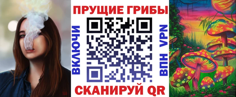 Галлюциногенные грибы Cubensis  хочу наркоту  Чердынь 